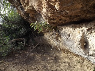 Necropoli cava Secchiera